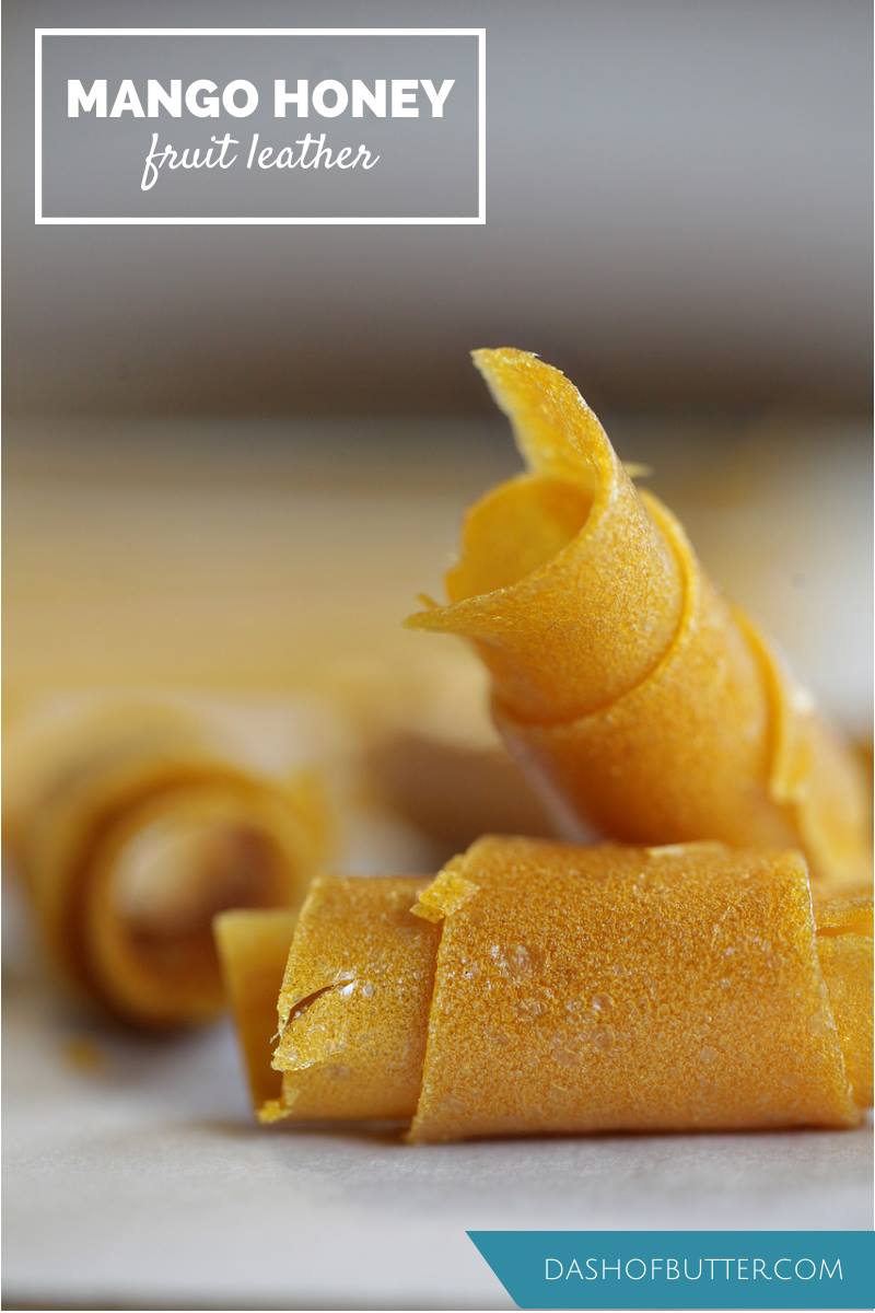 Mango Honey Fruit Leather