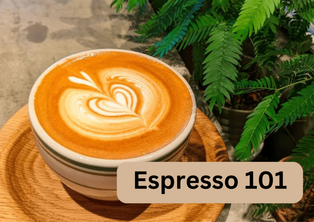 What is Espresso 5 Amazing Facts and Brewing Guide