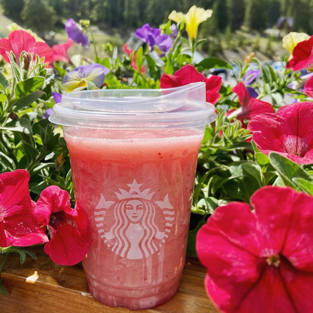 Is Starbucks Blended Strawberry Lemonade Vegan Is Starbucks Blended Strawberry Lemonade Vegan